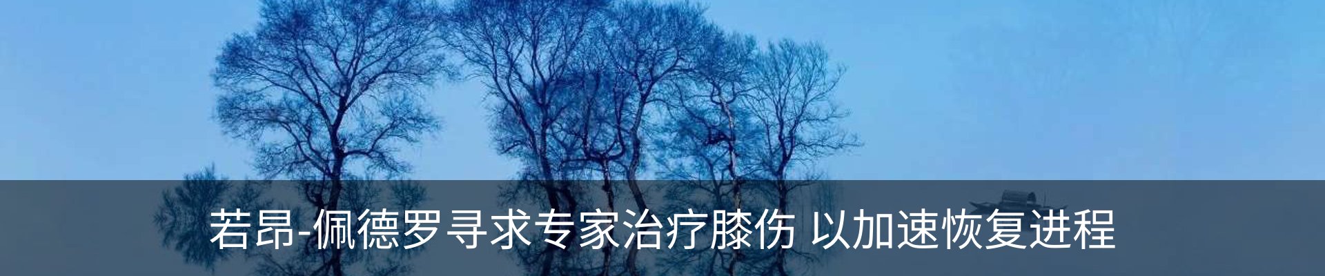 内页banner
